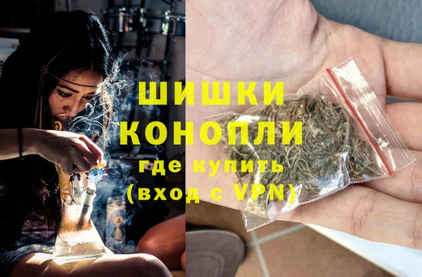 шишки Армянск