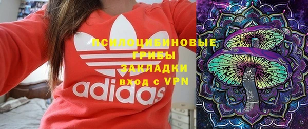 круглые Алексеевка