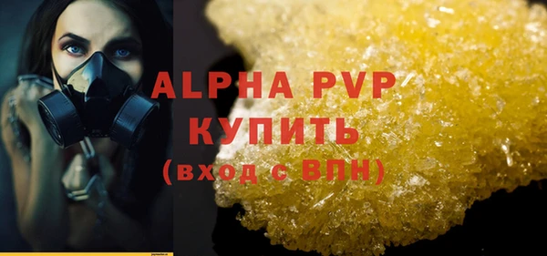 крисы Алексин