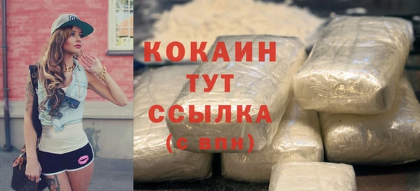 шишки Армянск